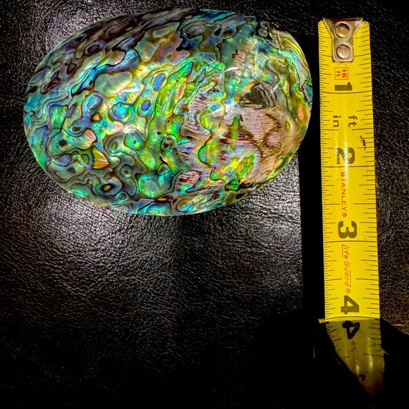 Abalone shell Buckle - Picture 7 of 8